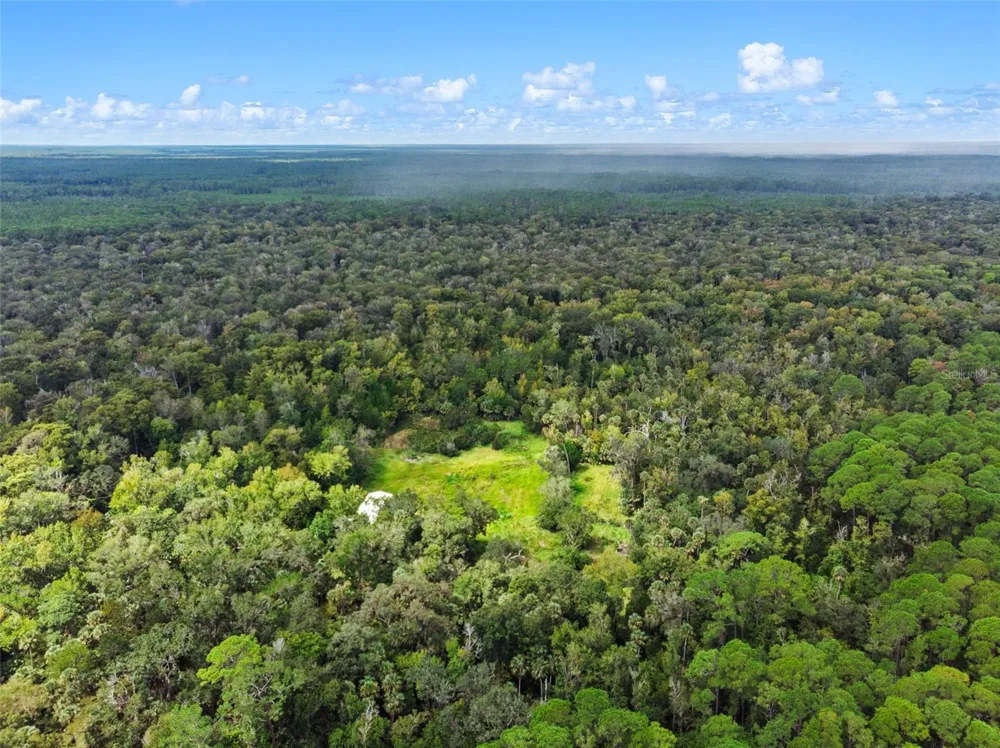 NFS 73 / ALCO ROAD Astor, FL 32102