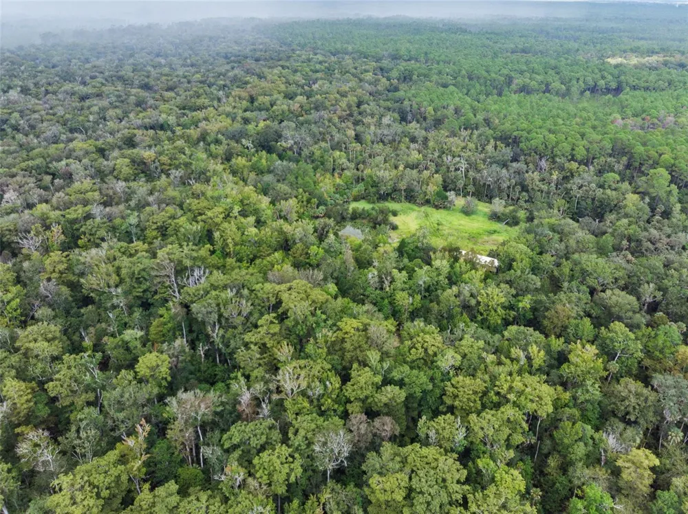 NFS 73 / ALCO ROAD Astor, FL 32102