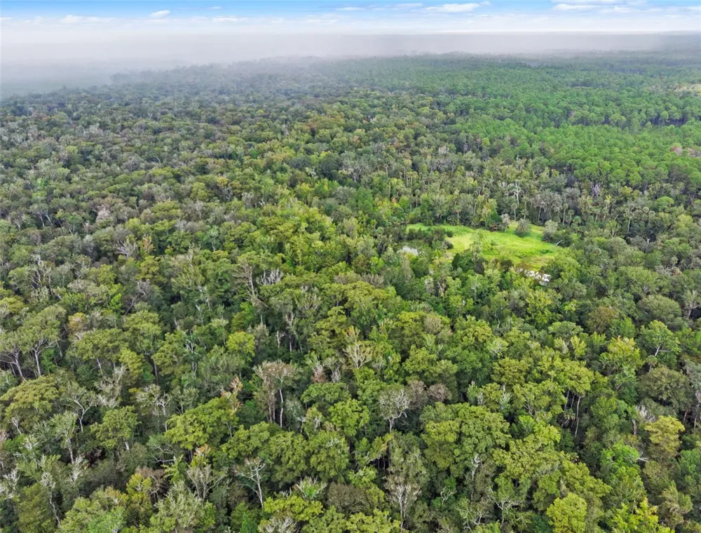 NFS 73 / ALCO ROAD Astor, FL 32102