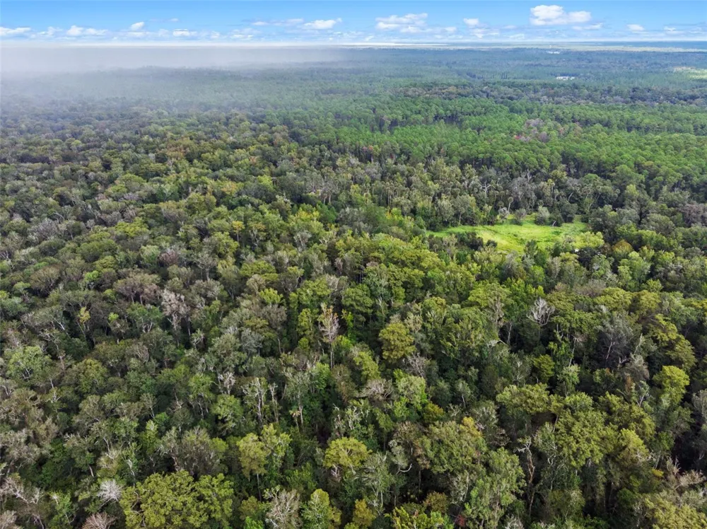 NFS 73 / ALCO ROAD Astor, FL 32102