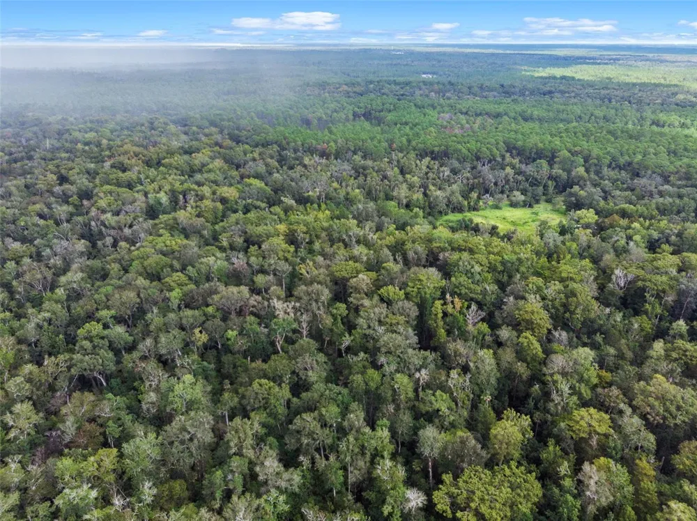 NFS 73 / ALCO ROAD Astor, FL 32102