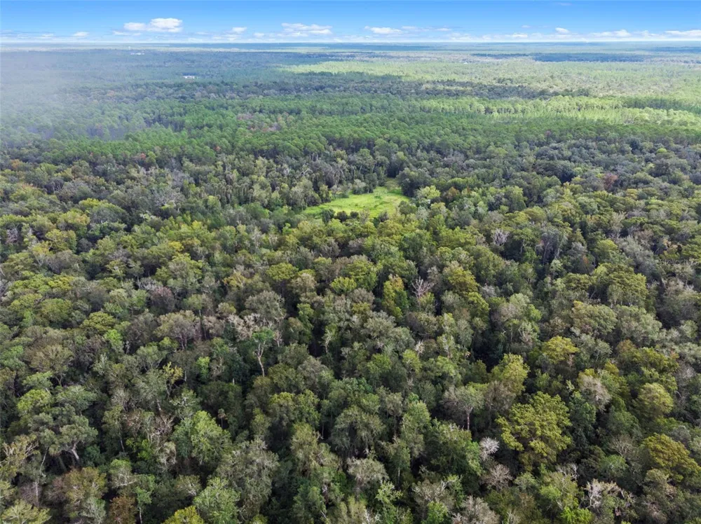 NFS 73 / ALCO ROAD Astor, FL 32102