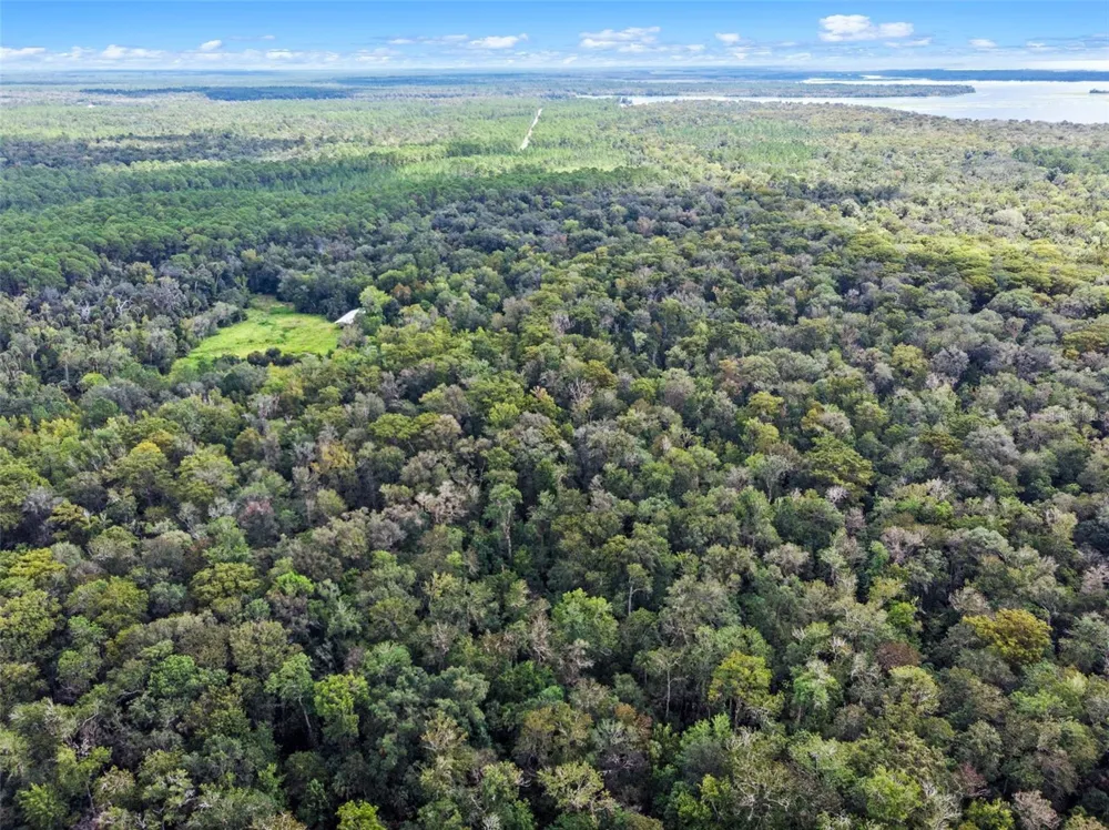 NFS 73 / ALCO ROAD Astor, FL 32102