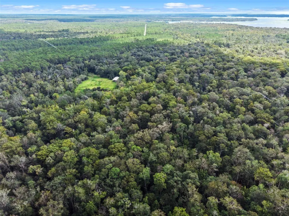 NFS 73 / ALCO ROAD Astor, FL 32102