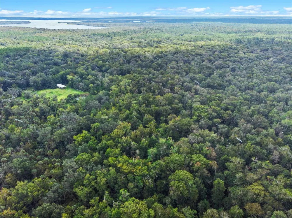 NFS 73 / ALCO ROAD Astor, FL 32102
