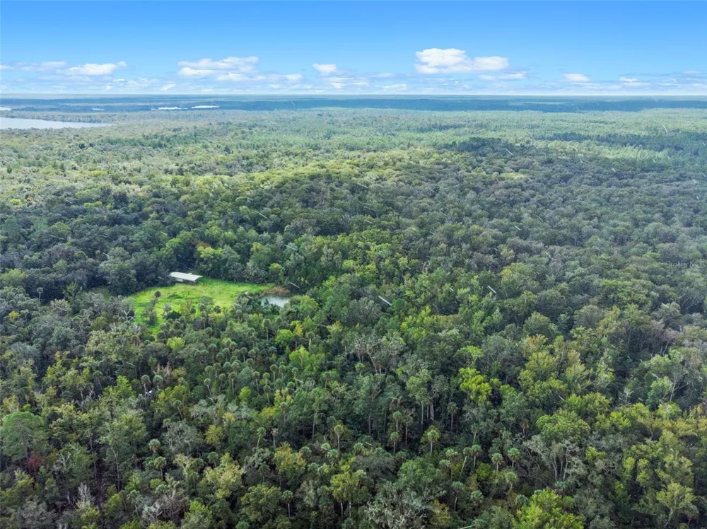 NFS 73 / ALCO ROAD Astor, FL 32102