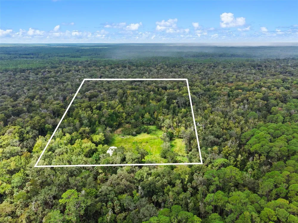 NFS 73 / ALCO ROAD Astor, FL 32102