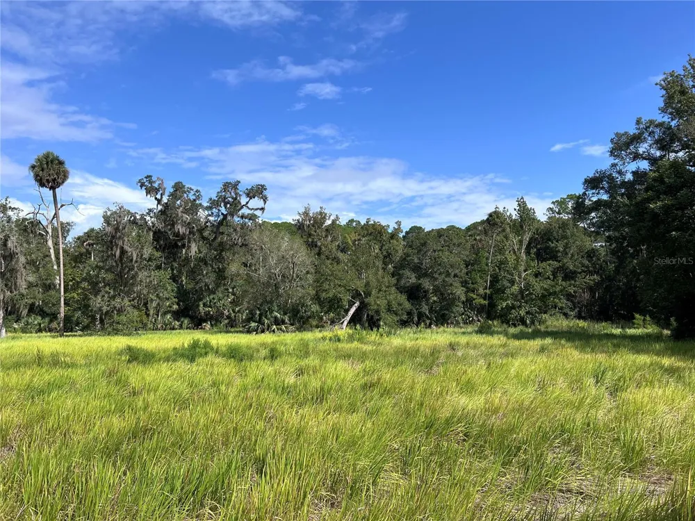 NFS 73 / ALCO ROAD Astor, FL 32102