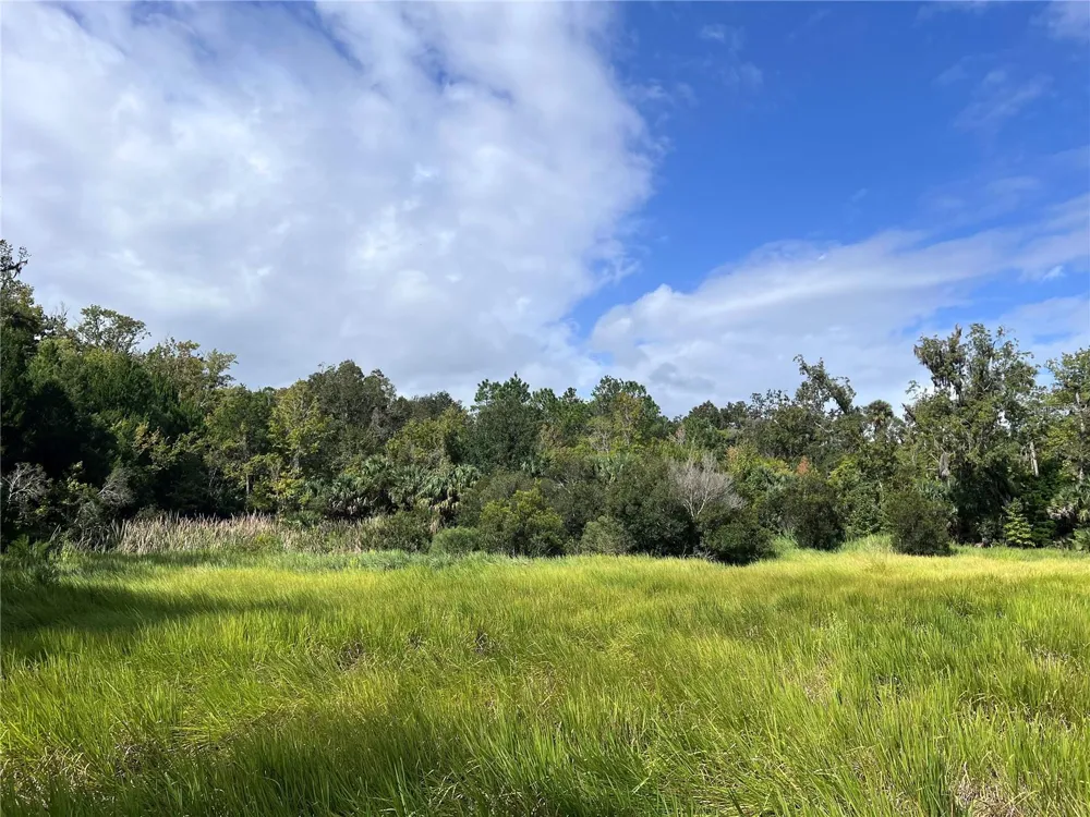 NFS 73 / ALCO ROAD Astor, FL 32102