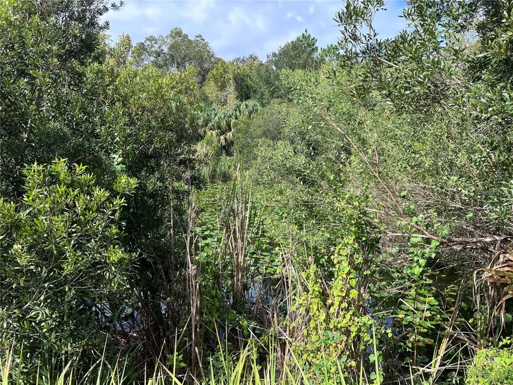 NFS 73 / ALCO ROAD Astor, FL 32102