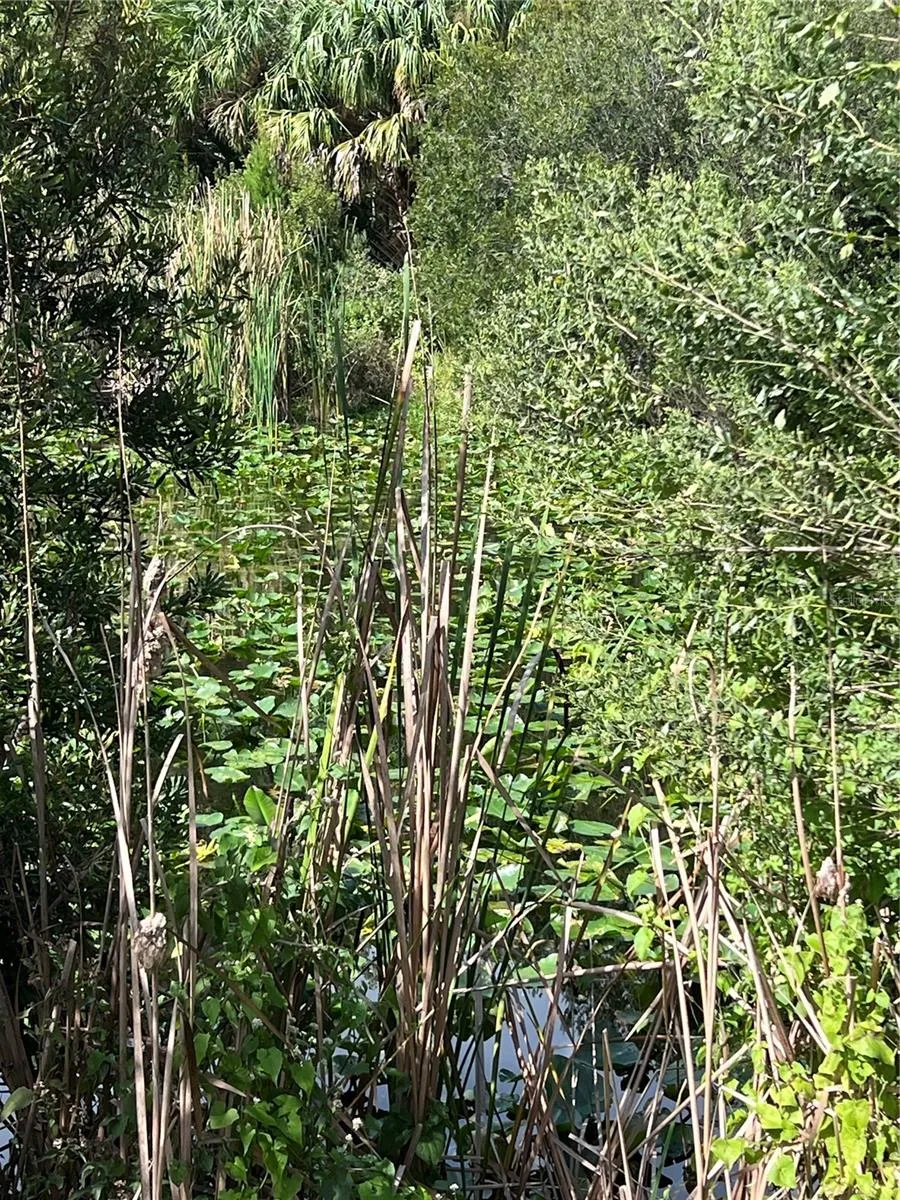 NFS 73 / ALCO ROAD Astor, FL 32102