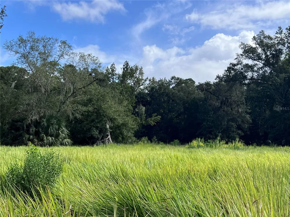 NFS 73 / ALCO ROAD Astor, FL 32102