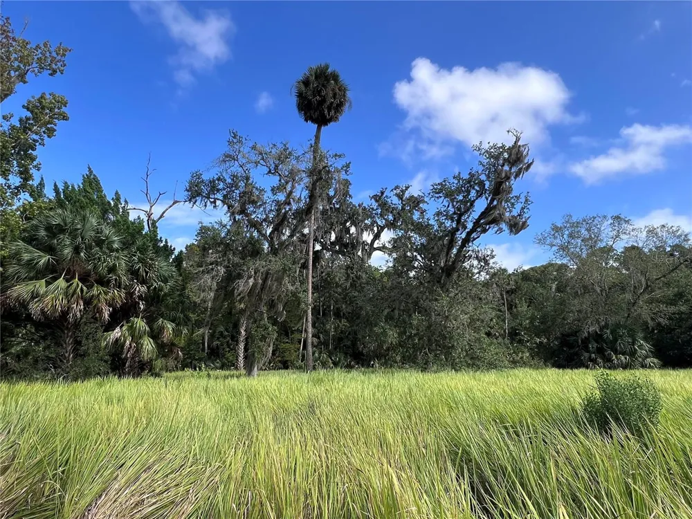 NFS 73 / ALCO ROAD Astor, FL 32102