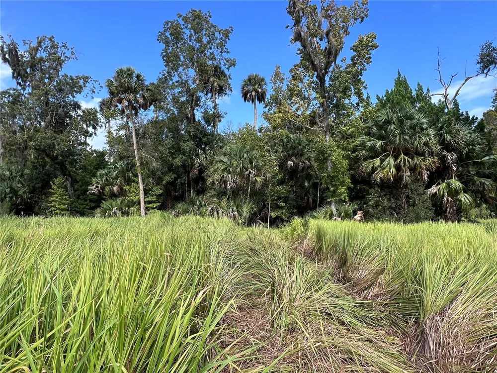 NFS 73 / ALCO ROAD Astor, FL 32102