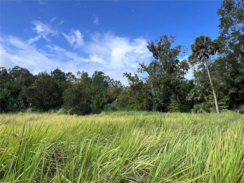 NFS 73 / ALCO ROAD Astor, FL 32102