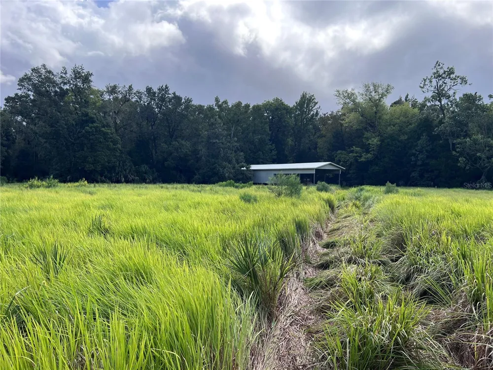 NFS 73 / ALCO ROAD Astor, FL 32102