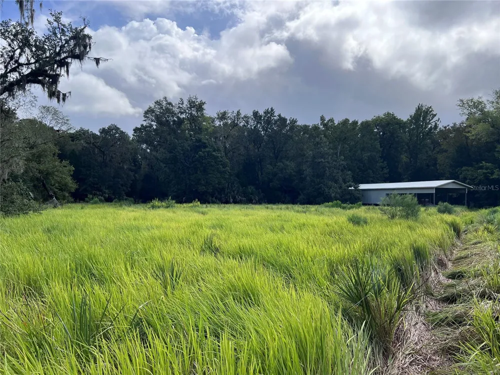 NFS 73 / ALCO ROAD Astor, FL 32102