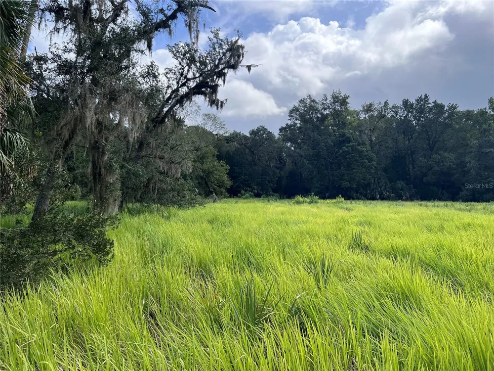 NFS 73 / ALCO ROAD Astor, FL 32102