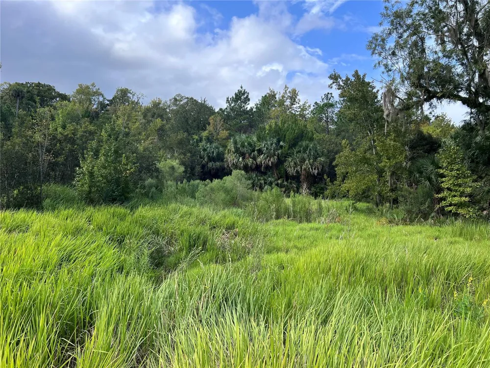 NFS 73 / ALCO ROAD Astor, FL 32102