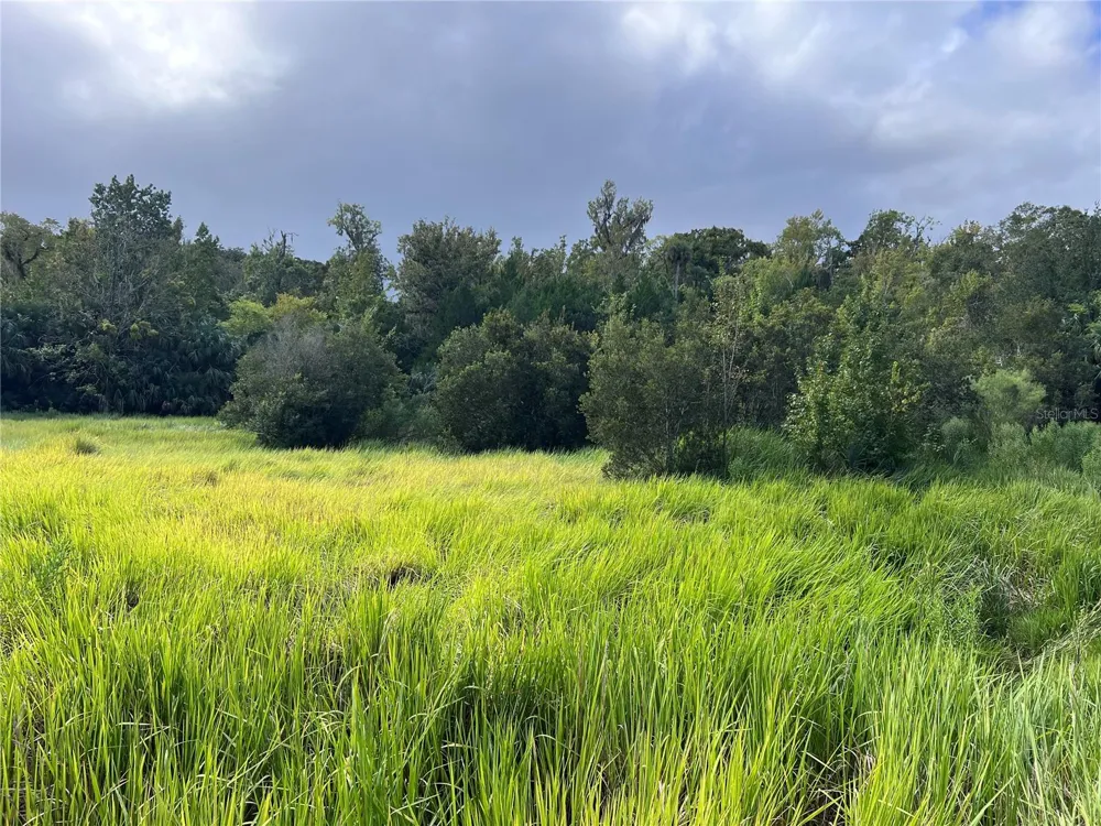 NFS 73 / ALCO ROAD Astor, FL 32102
