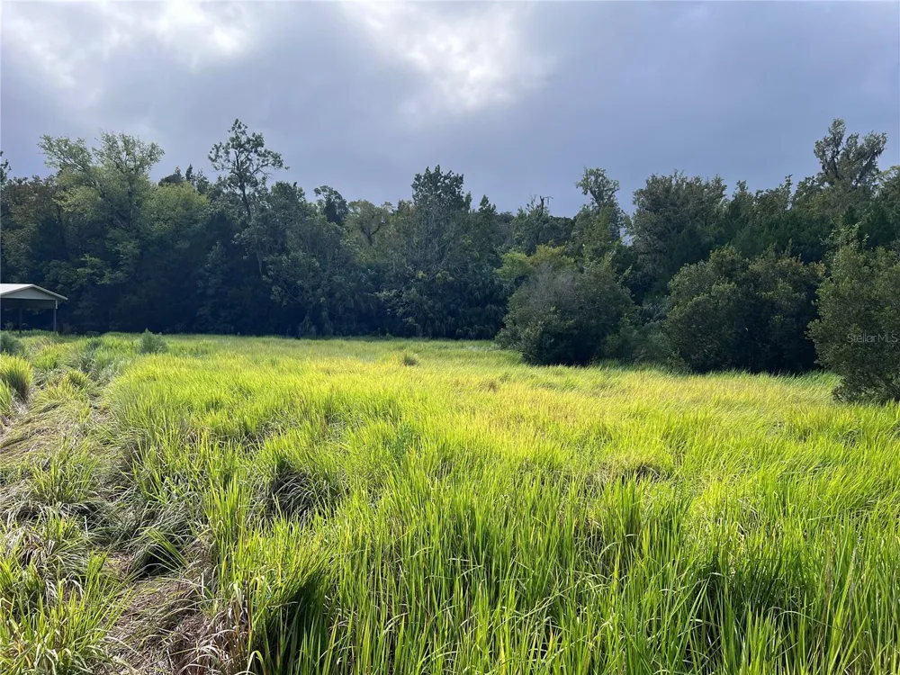 NFS 73 / ALCO ROAD Astor, FL 32102