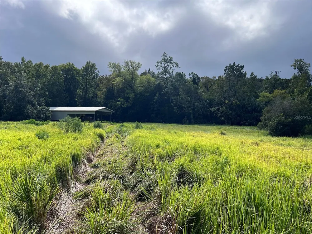 NFS 73 / ALCO ROAD Astor, FL 32102