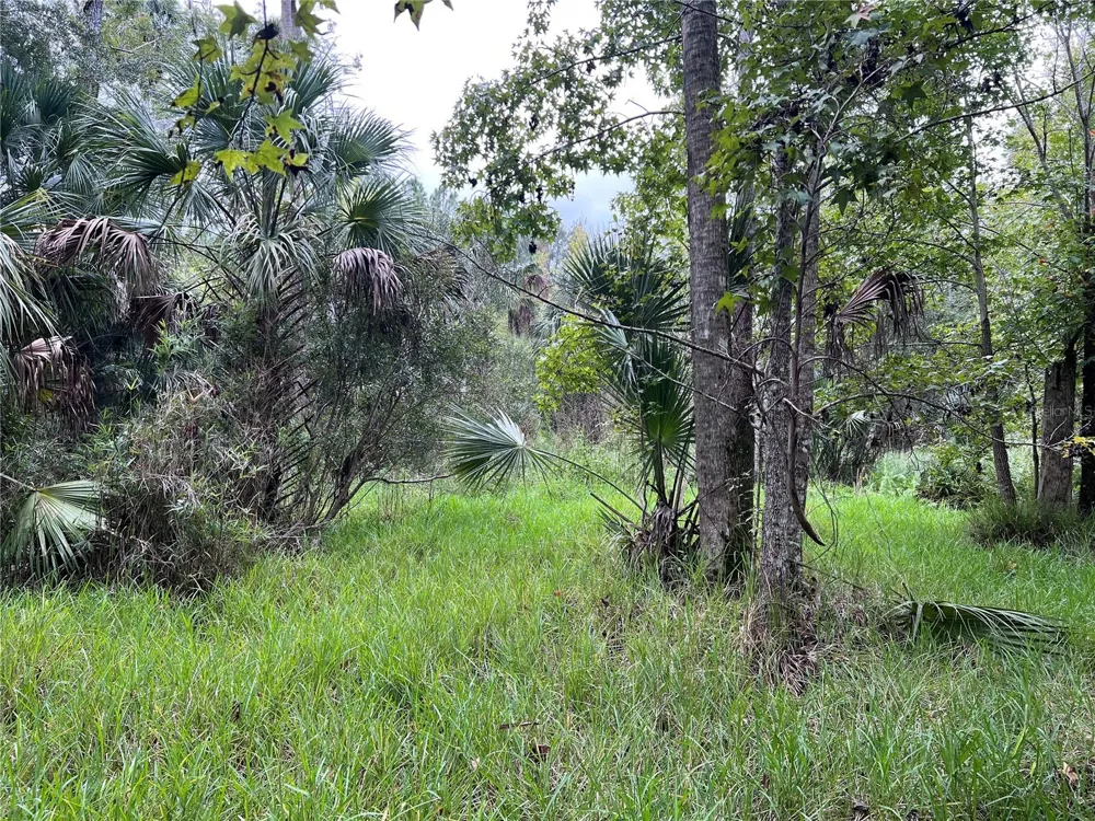 NFS 73 / ALCO ROAD Astor, FL 32102