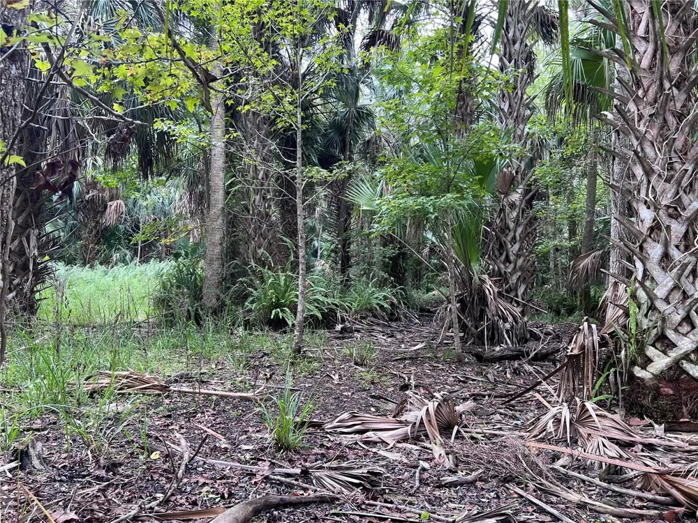 NFS 73 / ALCO ROAD Astor, FL 32102