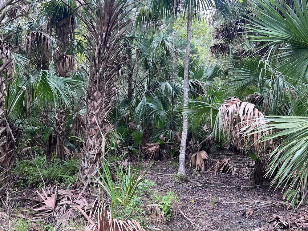 NFS 73 / ALCO ROAD Astor, FL 32102