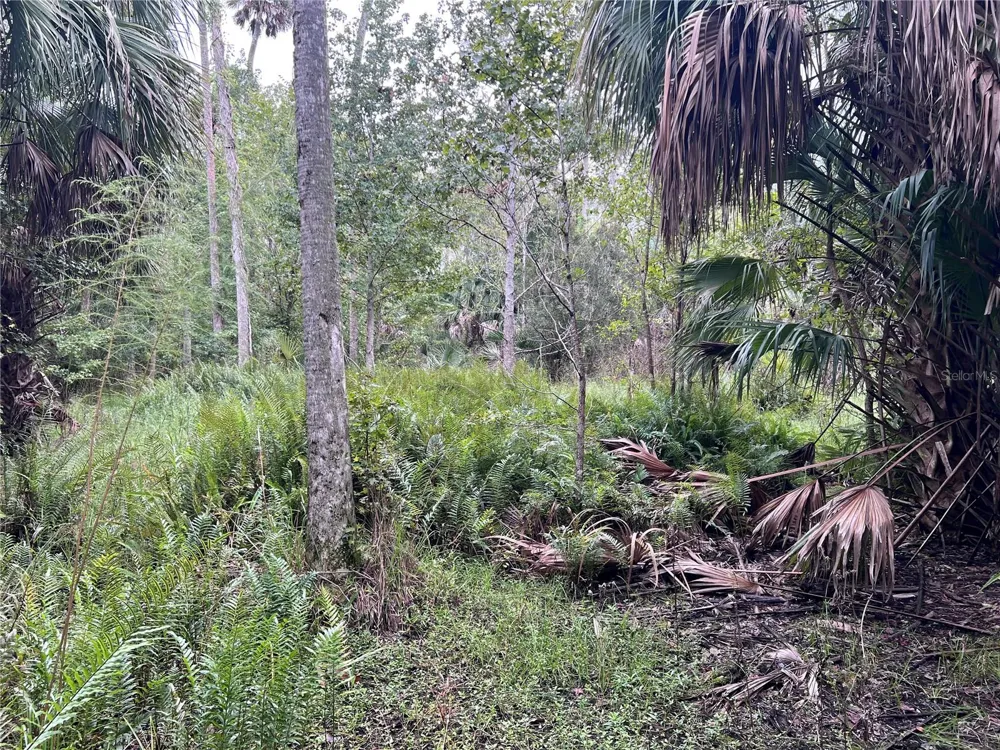 NFS 73 / ALCO ROAD Astor, FL 32102
