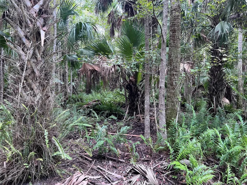 NFS 73 / ALCO ROAD Astor, FL 32102
