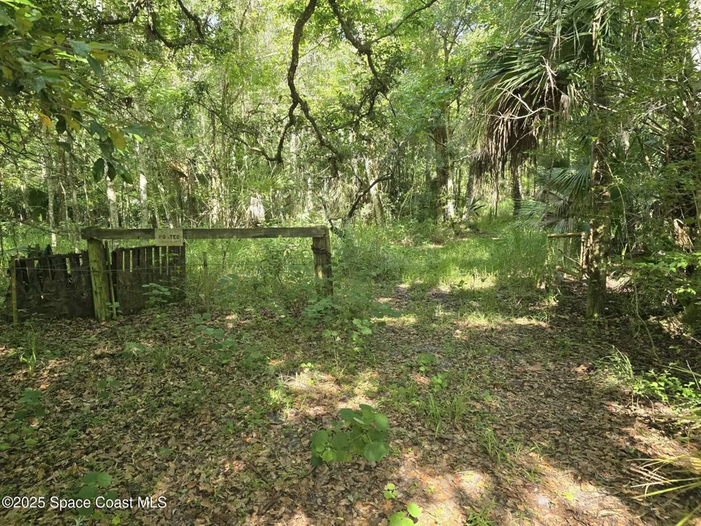 4600 Beacon Light Road Edgewater, FL 32141