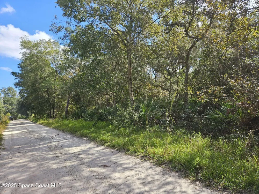 4600 Beacon Light Road Edgewater, FL 32141