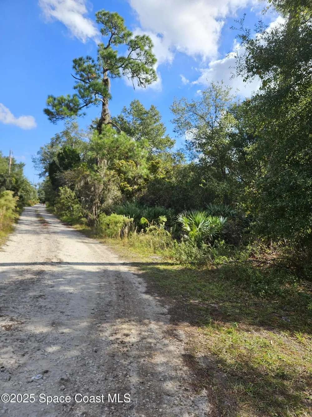 4600 Beacon Light Road Edgewater, FL 32141
