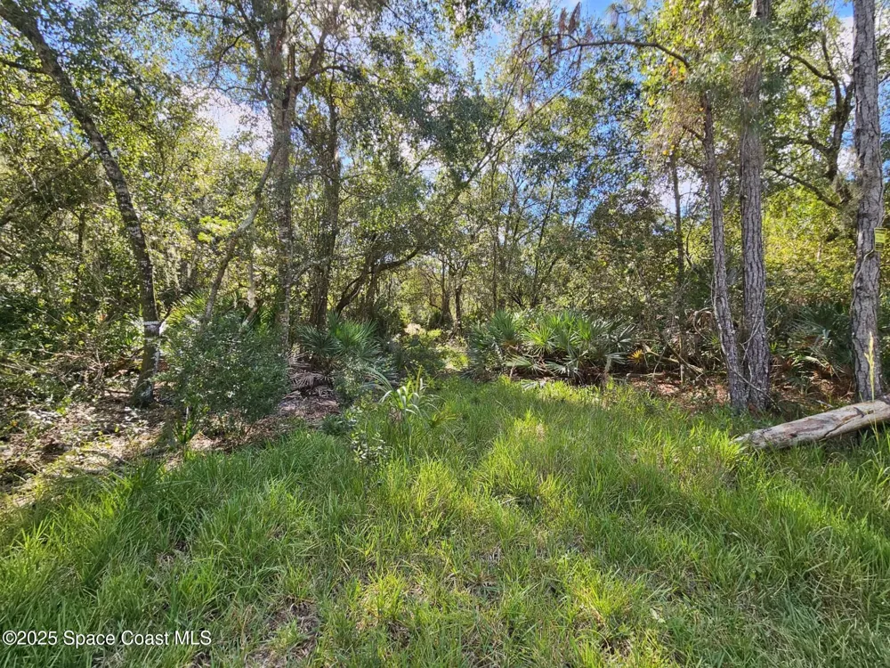 4600 Beacon Light Road Edgewater, FL 32141
