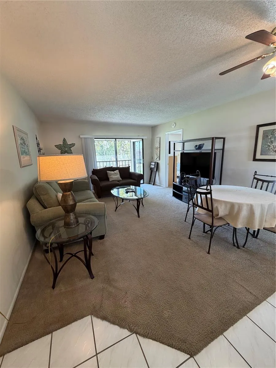204 WINDWARD PLACE #36 Oldsmar, FL 34677