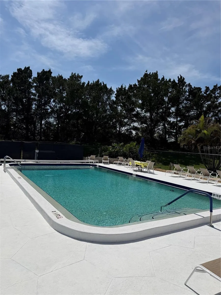 204 WINDWARD PLACE #36 Oldsmar, FL 34677