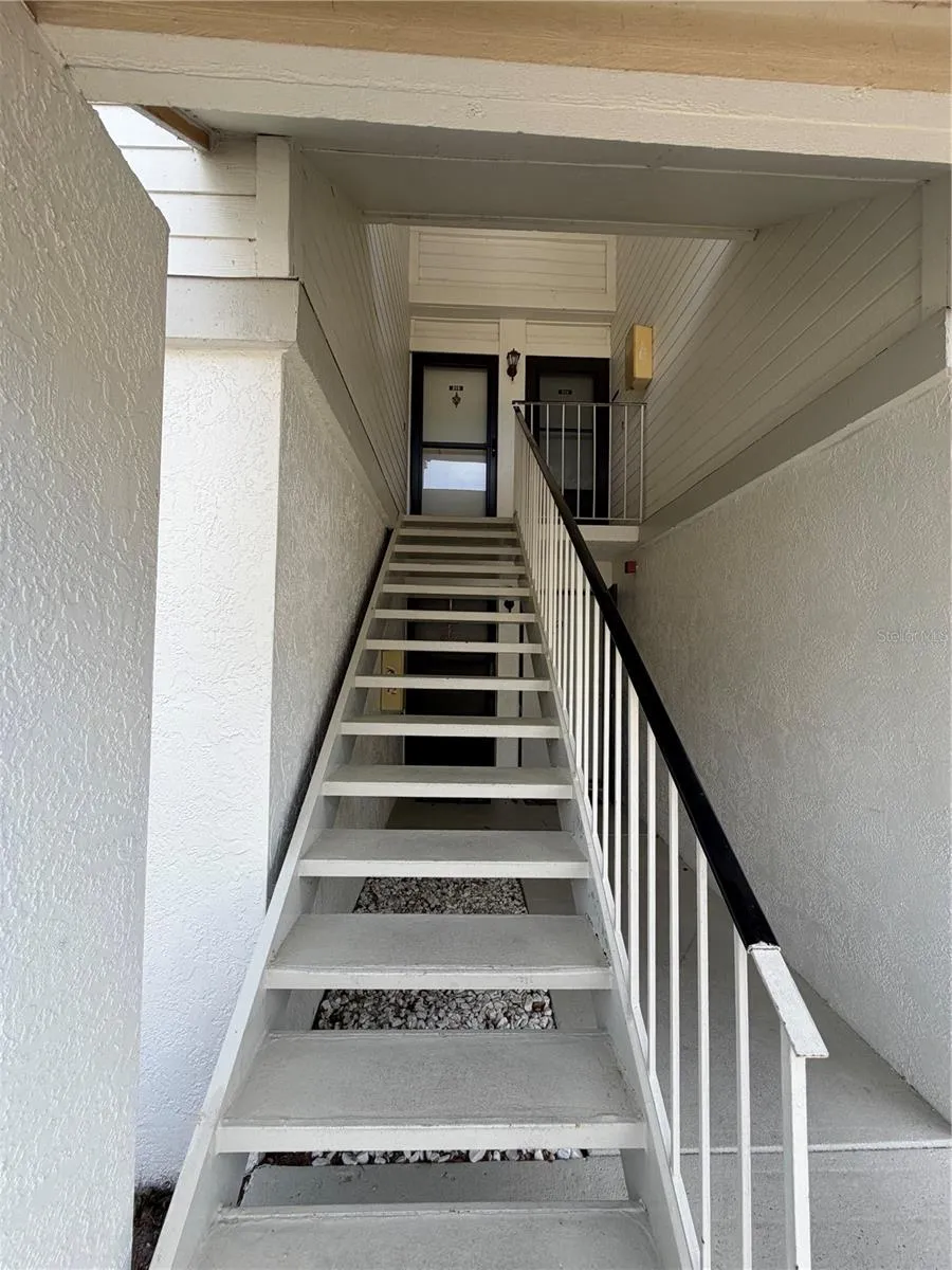 204 WINDWARD PLACE #36 Oldsmar, FL 34677