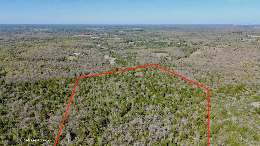 100 PR 617 Roads Kosse, TX 76652