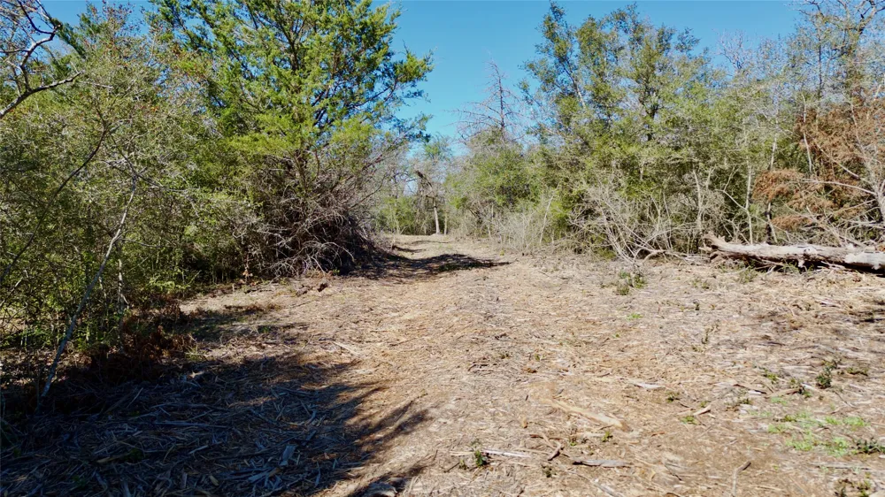 100 PR 617 Roads Kosse, TX 76652