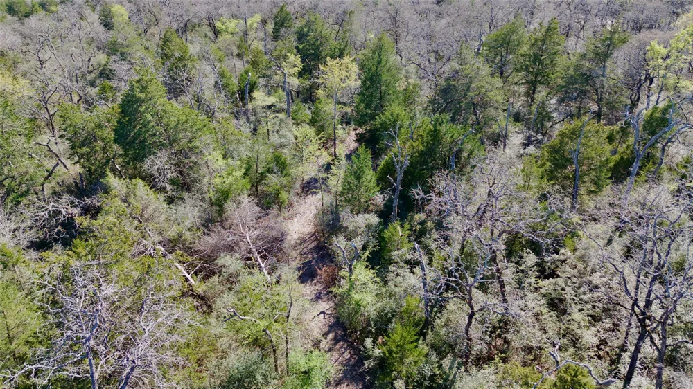 100 PR 617 Roads Kosse, TX 76652