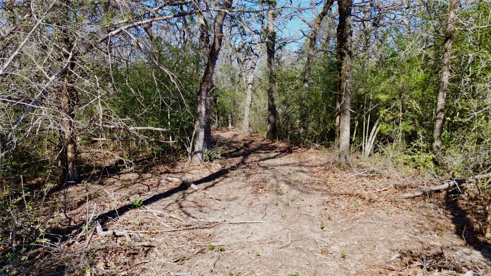 100 PR 617 Roads Kosse, TX 76652