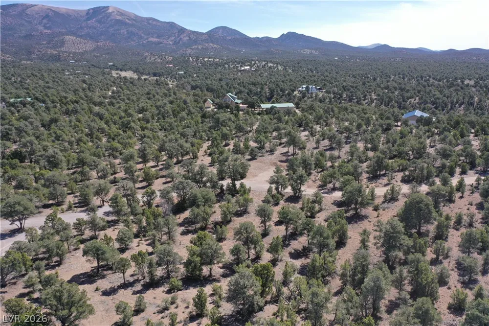 1281 Meadow Lane Pioche, NV 89043
