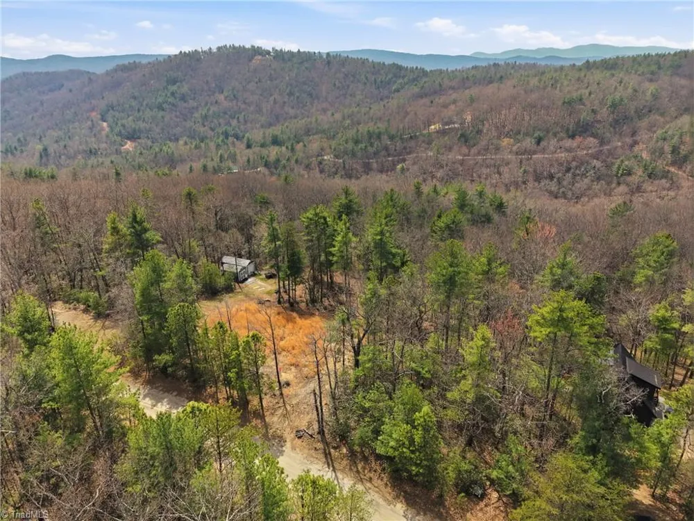Lot 109 & 110 Pepper Bush Road Purlear, NC 28665