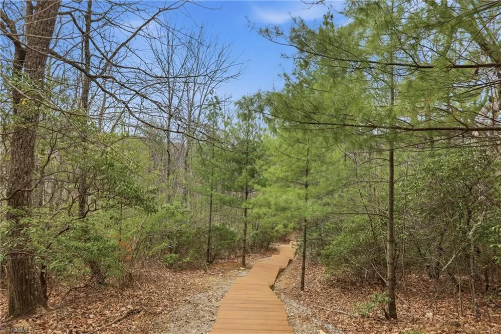 Lot 109 & 110 Pepper Bush Road Purlear, NC 28665