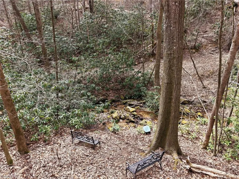 Lot 109 & 110 Pepper Bush Road Purlear, NC 28665