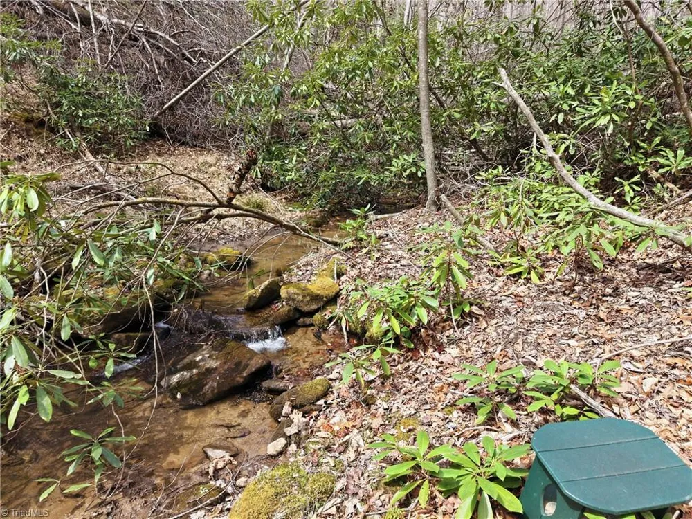 Lot 109 & 110 Pepper Bush Road Purlear, NC 28665