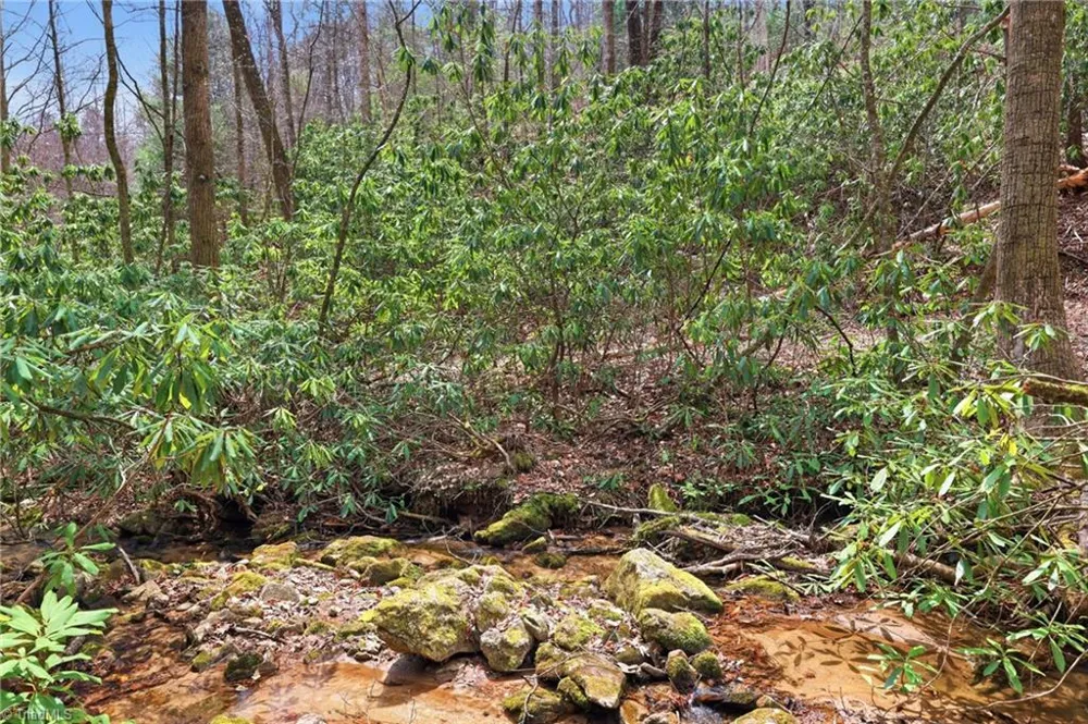 Lot 109 & 110 Pepper Bush Road Purlear, NC 28665