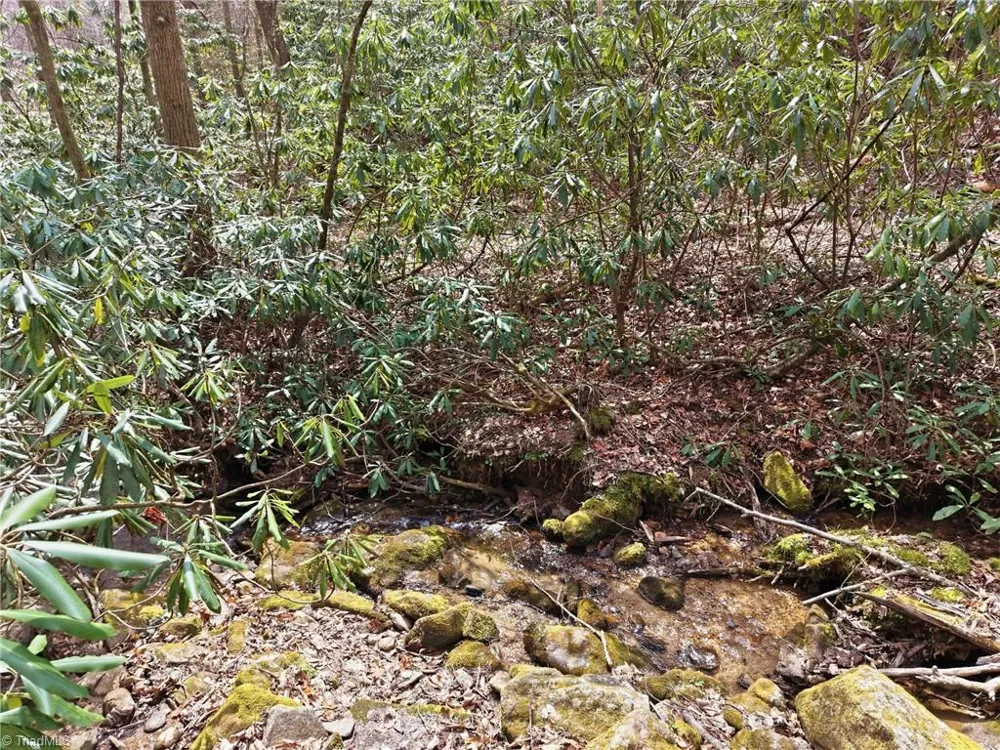 Lot 109 & 110 Pepper Bush Road Purlear, NC 28665