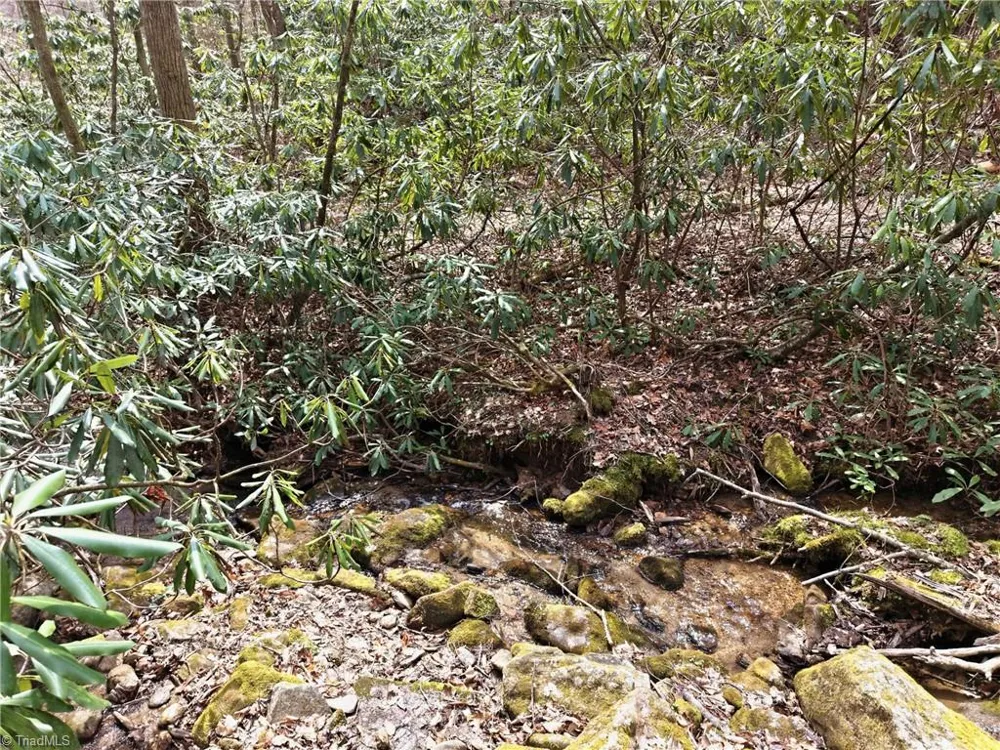 Lot 109 & 110 Pepper Bush Road Purlear, NC 28665